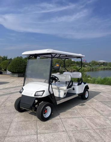 Classic Golf Cart, 4-seat · rear-facing