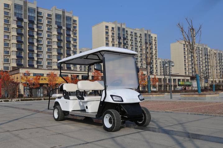 Classic Golf Cart, 6-seat · rear-facing