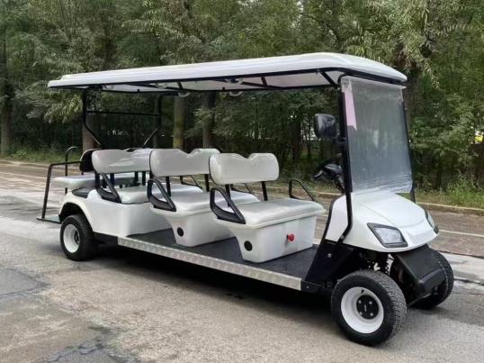 Classic Golf Cart, 8-seat · rear-facing